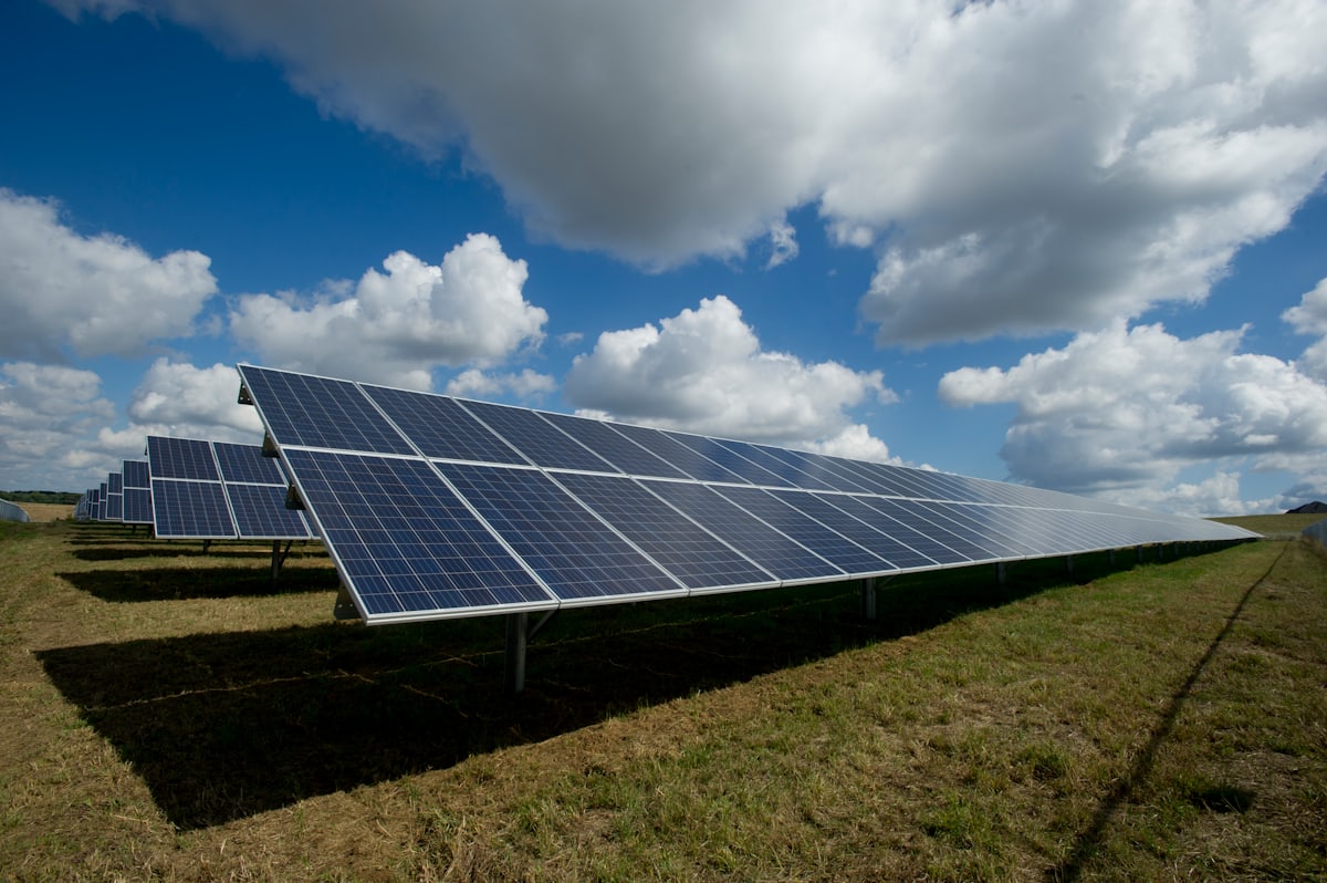 Solar module array in an installed utility-scale array